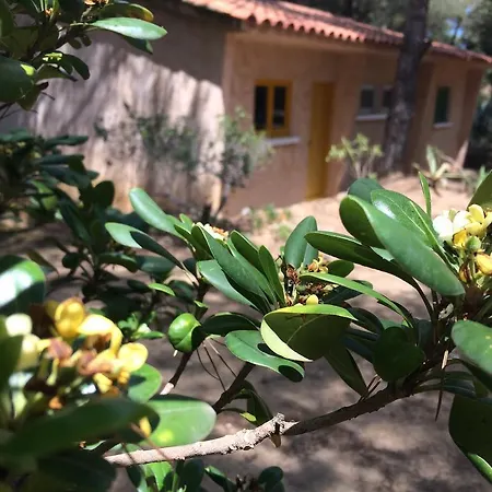 Tatil parkı Air Sport Soleil *