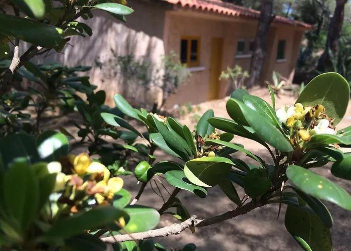 פארק נופש Air Sport Soleil *